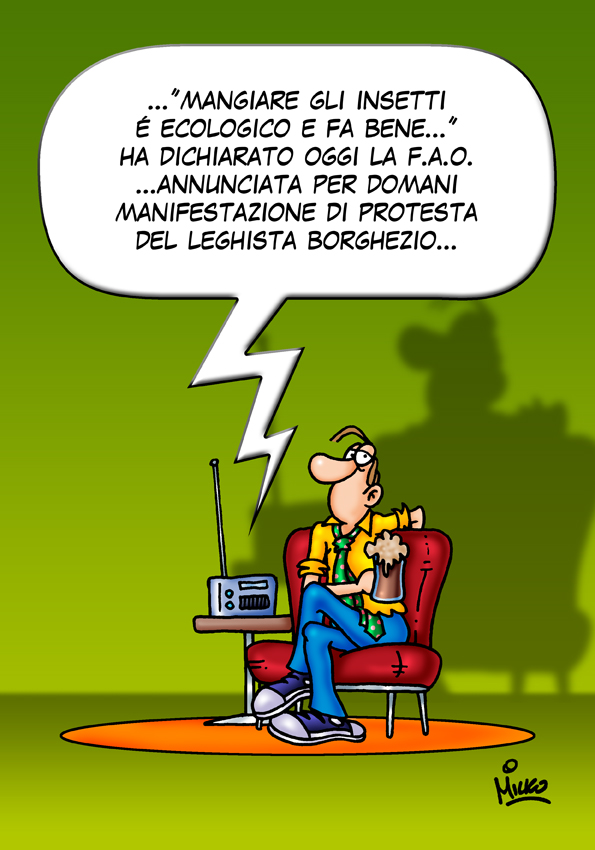 Slideshow