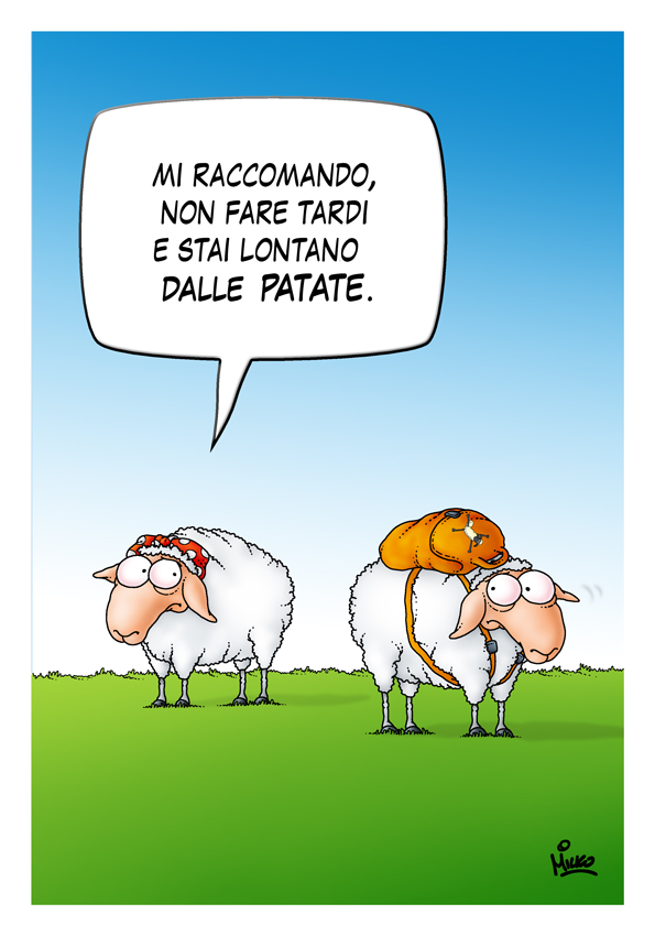 Slideshow